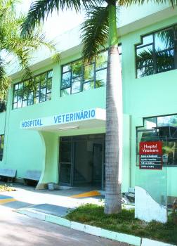 Hospital Veterinário retoma atendimentos